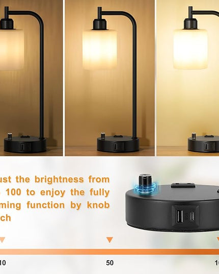 Industrial Bedroom Lamps for Nightstand Set of 2 - Fully Dimmable Bedside Lamps with USB A C Ports and Outlet, Black Table Lamps with Opal Glass Shade for Living Room, Desk Lamps for Office Reading - LeafyLoom