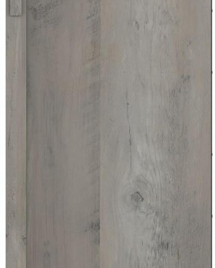 Bush Furniture Salinas Accent Storage Cabinet with Doors in Driftwood Gray - LeafyLoom
