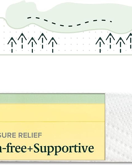 ZINUS 8 Inch Green Tea Essential Memory Foam Mattress, Twin, Mattress in A Box, Affordable Mattress, CertiPUR-US Certified - LeafyLoom