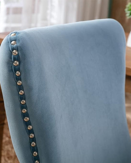 NicBex Haerin-SD-00119-LWJ Dining Chairs, 27.4"x20.4"x37.4", Light Blue - LeafyLoom
