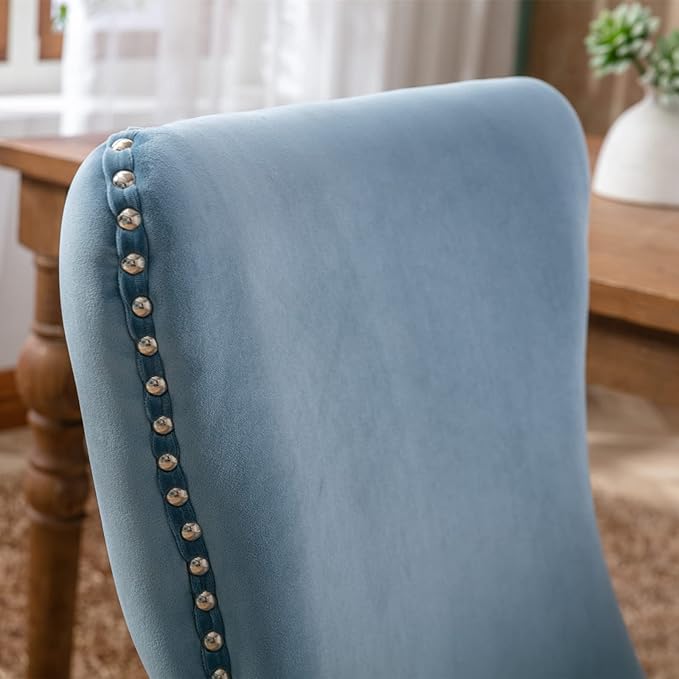 NicBex Haerin-SD-00119-LWJ Dining Chairs, 27.4"x20.4"x37.4", Light Blue - LeafyLoom