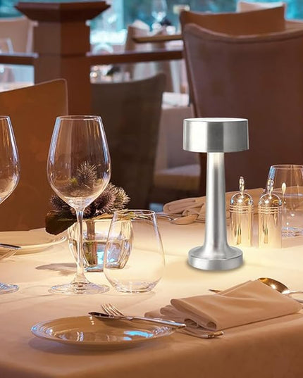 Portable LED Table Lamp, 3-Levels Brightness Metal Desk Lamp, 3 Color Touch Control Rechargeable Lamp, Night Light, Bedside Lamp,Dining Room Lamp,Gifts for Friends (Silver) - LeafyLoom