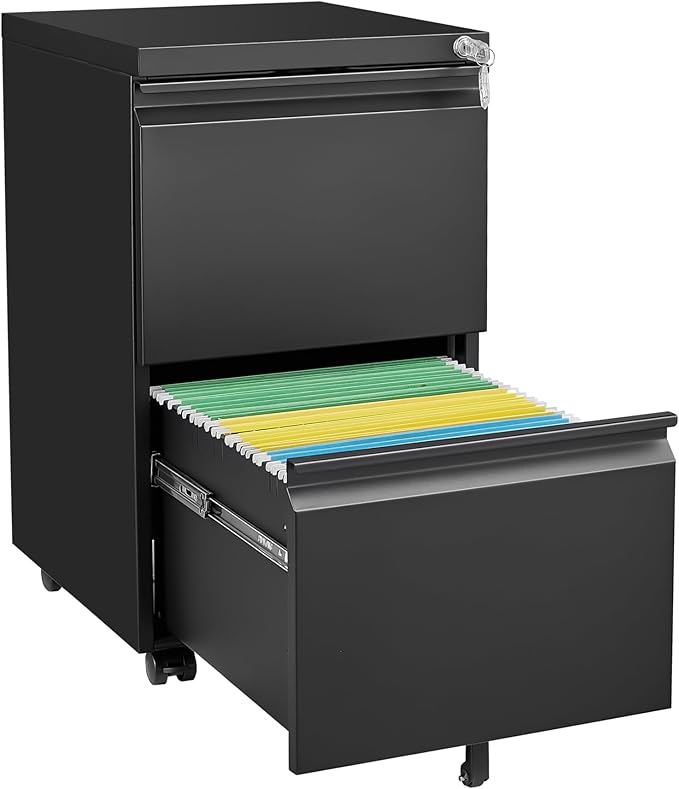 2 Drawer Mobile Lock and Casters,Pre-Assembled Metal Office Storage Filing Cabinets w/Anti-Dumping Fifth Round,for Letter/Legal/A4 Size,Black - LeafyLoom