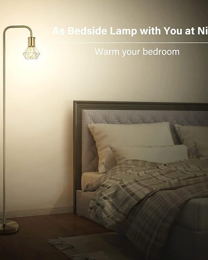 BoostArea Floor lamp,Industrial Floor Lamp,Standing Lamp with 6W LED Bulb,E26 Socket,On/Off Footswitch,Whole Metal,Modern Floor Lamp for Bedroom,Office, Living Room,Rustic,Vintage,Farmhouse - LeafyLoom