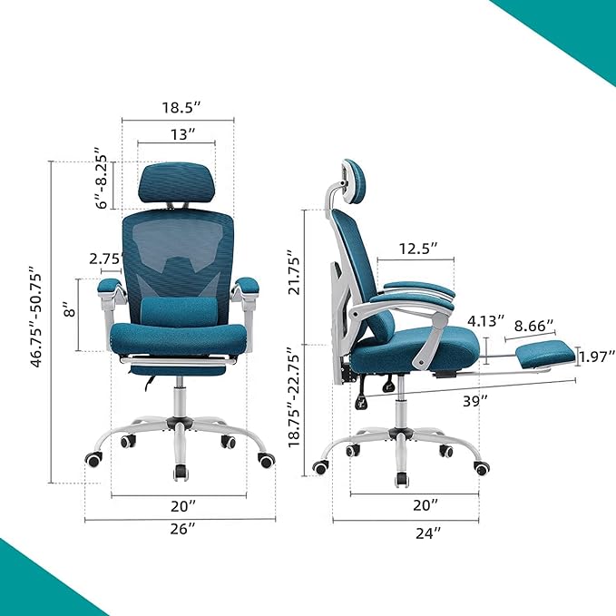 edx Ergonomic Office Chair, Reclining High Back Mesh Chair, Computer Desk Chair, Swivel Rolling Home Task Chair with Lumbar Support Pillow, Adjustable Headrest, Retractable Footrest and Armrests - LeafyLoom