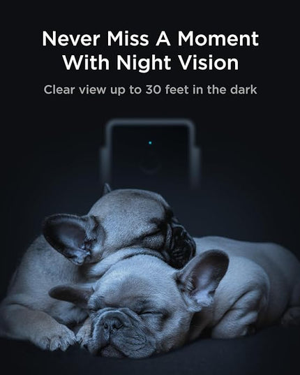 Petcube Cam The Pack of 2 | Indoor Wi-Fi Pet Security Camera with Phone App, 2-Way Audio and Video, Night Vision, 1080p HD Video and Smart Alerts Petcube