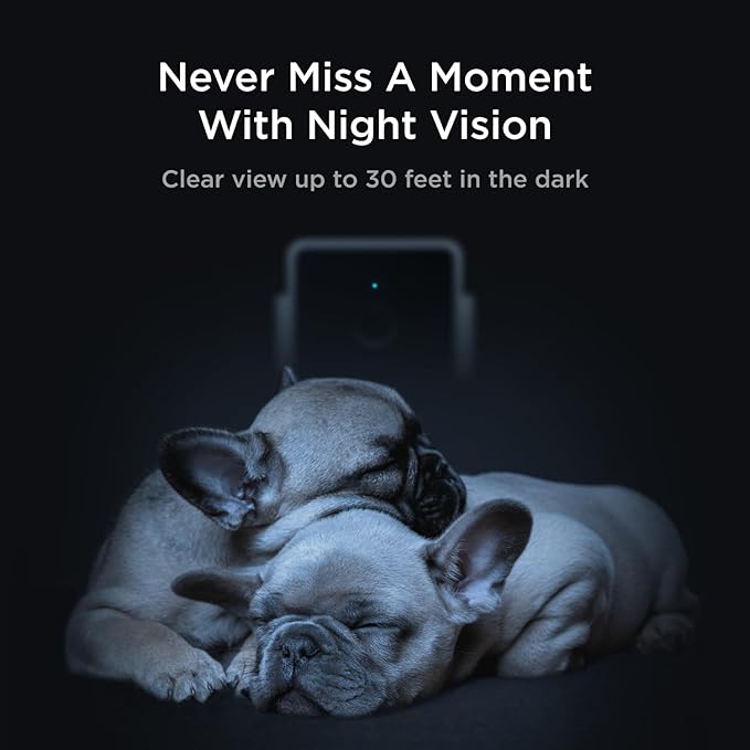 Petcube Cam The Pack of 2 | Indoor Wi-Fi Pet Security Camera with Phone App, 2-Way Audio and Video, Night Vision, 1080p HD Video and Smart Alerts Petcube