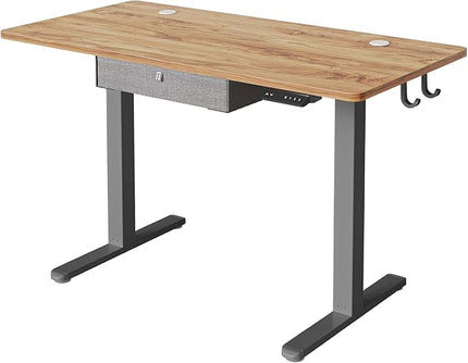 FEZIBO Standing Desk with Drawer, 48 x 24 Inches Adjustable Height Electric Stand up Desk with Storage, Sit Stand Home Office Desk, Light Rustic/Grey Frame - LeafyLoom