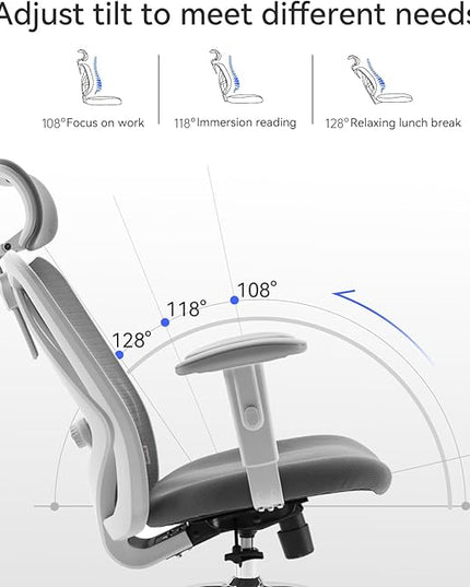 SIHOO M18 Ergonomic Office Chair, Computer Desk Chair with Adjustable Headrest and Lumbar Support, High Back Executive Swivel Chair for Home Office (Dark Gray) - LeafyLoom