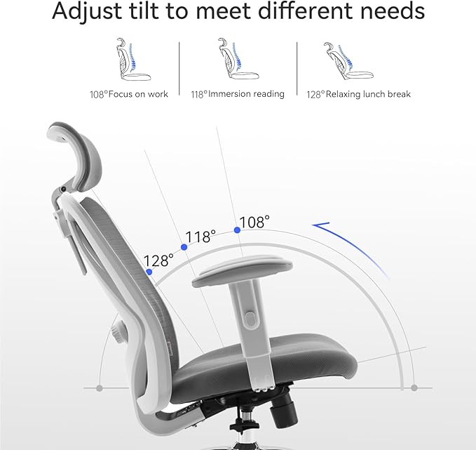 SIHOO M18 Ergonomic Office Chair, Computer Desk Chair with Adjustable Headrest and Lumbar Support, High Back Executive Swivel Chair for Home Office (Dark Gray) - LeafyLoom