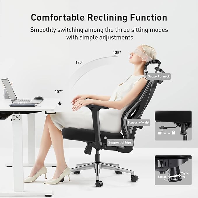 Hbada Ergonomic Mesh Office Chair, Computer Chair with Adjustable 2D Armrest, Swivel Office Chair -Adjustable Headrest with Lumbar Support and PU Wheels Black(No Footrest) - LeafyLoom