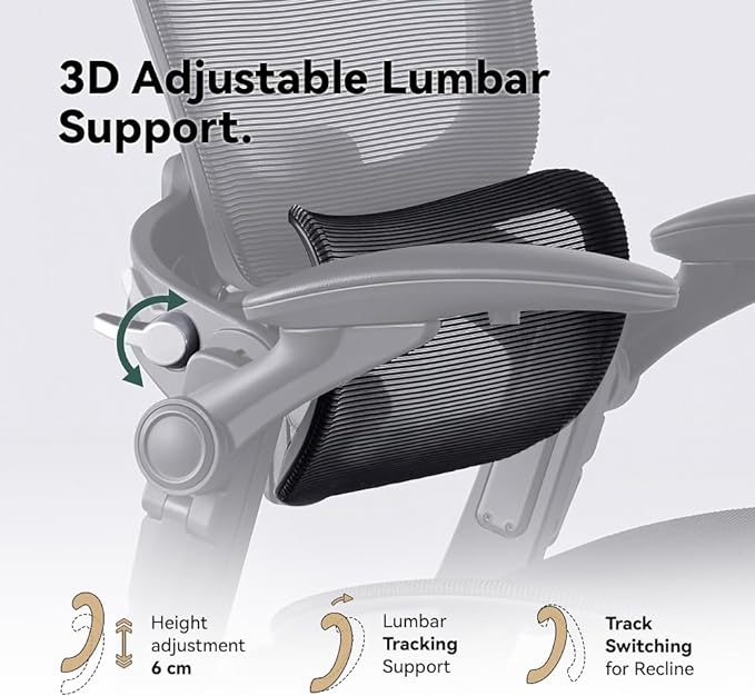 HINOMI H1 Classic V3 Ergonomic Office Chair with Lumbar Support - Comfy Computer Chair with Mesh, Home Office Desk Chair with Adjustable Arms, Comfortable Office Chair Back Support (without Headrest) - LeafyLoom