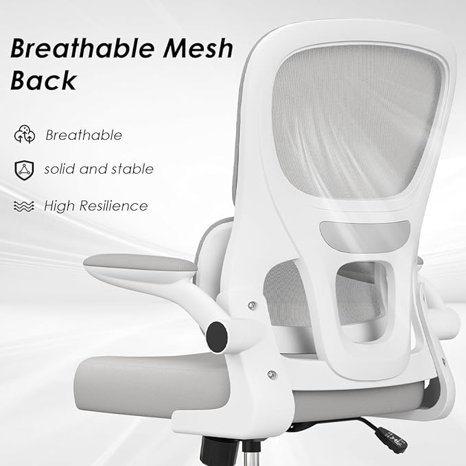 Soohow Ergonomic Home Office Chair, Mesh Desk Chair with Lumbar Support, Comfy Computer Desk Chair with Flip Armrest Rolling Wheels, Grey. - LeafyLoom