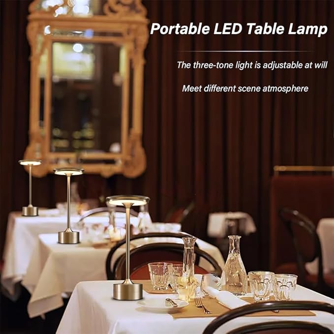 Portable Metal Desk Lamp, 3-Levels Brightness Metal LED Table Lamp, 3 Color Touch Control Rechargeable Lamp, Night Light, Bedside Lamp,Dining Room Lamp (Silver) - LeafyLoom