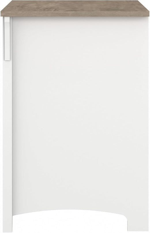 Bush Furniture Salinas 2 Drawer Lateral File Cabinet in Pure White and Shiplap Gray - LeafyLoom