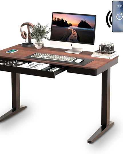 Standing Desk with Drawer and Wireless Charging,48x24 inch Dual Motor Electric Standing Desk,Stand Up Desk with Whole-Piece Desktop(Black Oval Legs+Rustic Brown Top) - LeafyLoom
