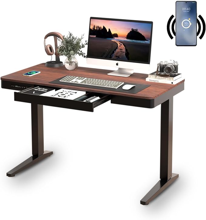 Standing Desk with Drawer and Wireless Charging,48x24 inch Dual Motor Electric Standing Desk,Stand Up Desk with Whole-Piece Desktop(Black Oval Legs+Rustic Brown Top) - LeafyLoom