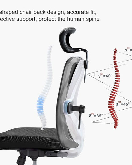 SIHOO M18 Ergonomic Office Chair for Big and Tall People Adjustable Headrest with 2D Armrest Lumbar Support and PU Wheels Swivel Tilt Function Black - LeafyLoom