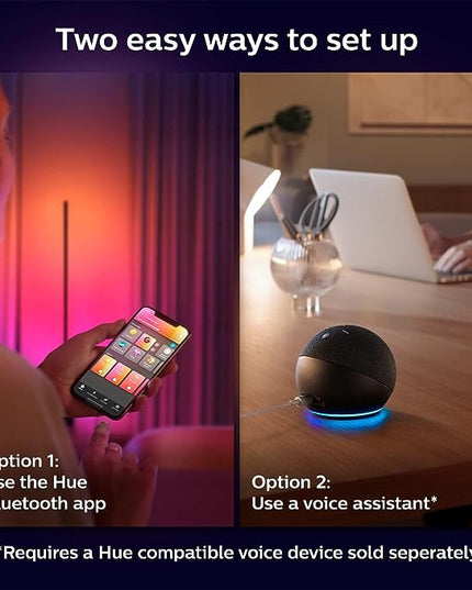 Philips Hue Signe Smart Floor Lamp, White - White and Color Ambiance LED Color-Changing Light - 1 Pack - Indoor - Control with Hue App - Works with Alexa, Google Assistant, and Apple Homekit - LeafyLoom