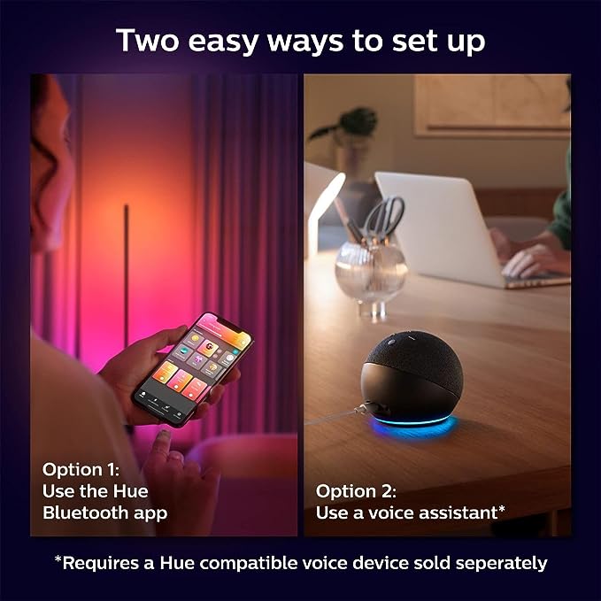 Philips Hue Signe Smart Floor Lamp, White - White and Color Ambiance LED Color-Changing Light - 1 Pack - Indoor - Control with Hue App - Works with Alexa, Google Assistant, and Apple Homekit - LeafyLoom