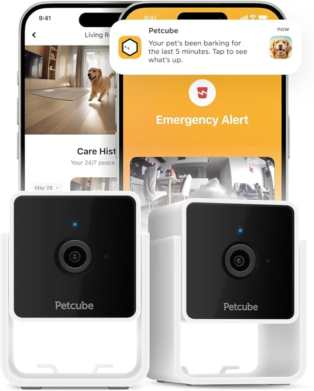 Petcube Cam The Pack of 2 | Indoor Wi-Fi Pet Security Camera with Phone App, 2-Way Audio and Video, Night Vision, 1080p HD Video and Smart Alerts Petcube