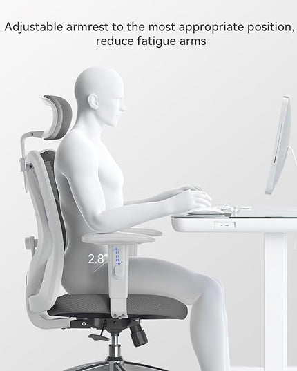 SIHOO M18 Ergonomic Office Chair, Computer Desk Chair with Adjustable Headrest and Lumbar Support, High Back Executive Swivel Chair for Home Office (Dark Gray) - LeafyLoom