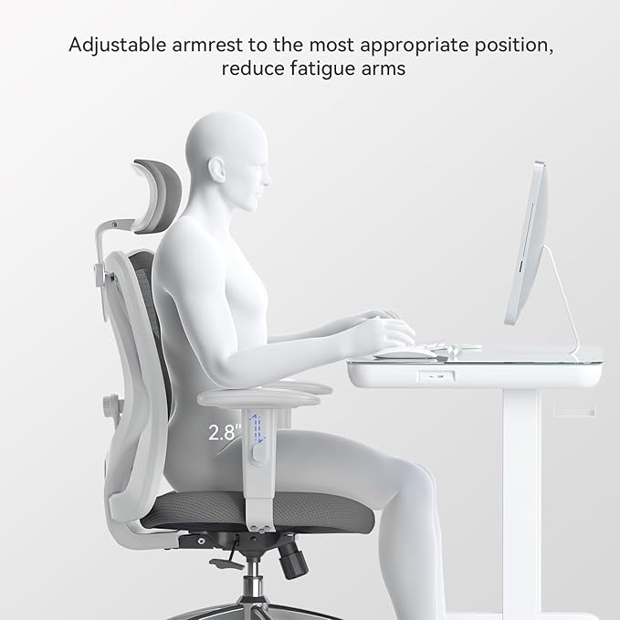 SIHOO M18 Ergonomic Office Chair, Computer Desk Chair with Adjustable Headrest and Lumbar Support, High Back Executive Swivel Chair for Home Office (Dark Gray) - LeafyLoom