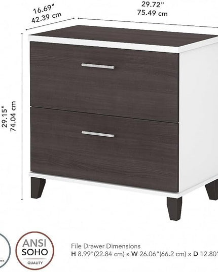 Bush Furniture Somerset 2 Drawer Lateral File Cabinet | Letter, Legal, and A4-size Document Storage for Home Office, 30W x 17D x 29H, White and Storm - LeafyLoom