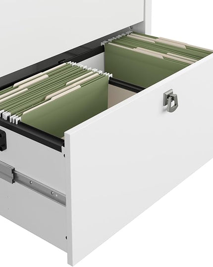 Bush Furniture Salinas 2 Drawer Lateral File Cabinet in Pure White and Shiplap Gray - LeafyLoom