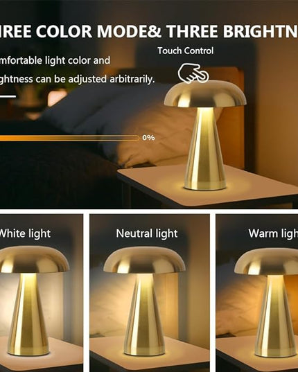 Portable Metal Desk Lamp,3-Color Touch Control, Rechargeable Battery - Ideal Bedside Lamp for Bedroom Nightstand - LeafyLoom
