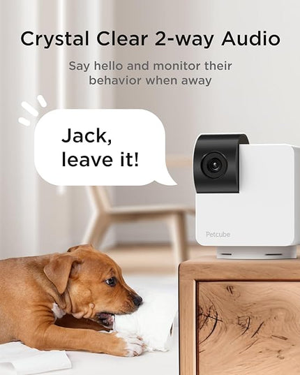 Petcube Cam 360 The Pack of 2 Camera | Ultimate Interactive WiFi Pet and Home Security Pan-Tilt Camera with Phone App, 1080p HD Video, 360° Rotation, Night Vision, Smart Alerts for Home Surveillance Petcube