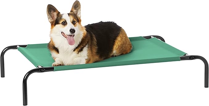 Amazon Basics Cooling Elevated Pet Dog Bed, Medium (43 x 26 x 7.5 Inches), Green AmazonBasics