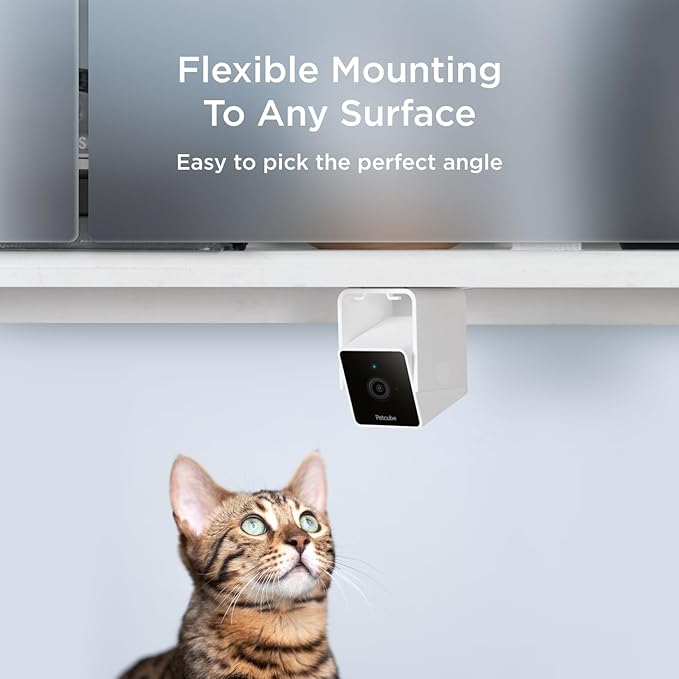 Petcube Cam The Pack of 2 | Indoor Wi-Fi Pet Security Camera with Phone App, 2-Way Audio and Video, Night Vision, 1080p HD Video and Smart Alerts Petcube