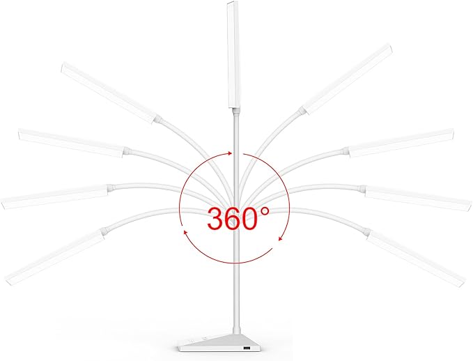 RAOYI LED Desk Lamp, 12W Dimmable Table Lamp Eye-Caring Reading Light with USB Charging Port Touch Control 5 Color Modes 6-Level Brightness Adjustable for Office Home Bedroom (White) - LeafyLoom