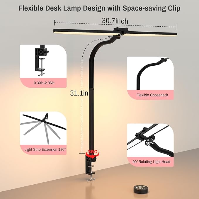 ERAY LED Desk Lamp for Home Office, Double Head RGB Desk Lamp with Remote, Bright Adjustable Gooseneck Desk Light, 24W & 5 Color Modes, Eye Protection Table Lamps for Game Reading Study(Black) - LeafyLoom