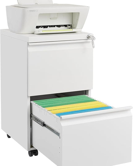 2 Drawer Mobile Lock and Casters,Pre-Assembled Metal Office Storage Filing Cabinets w/Anti-Dumping Fifth Round,for Letter/Legal/A4 Size,White - LeafyLoom