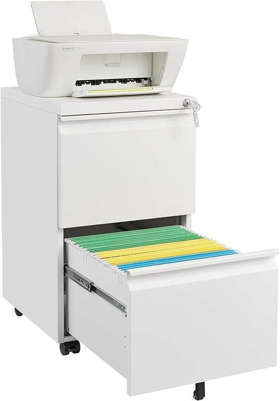 2 Drawer Mobile Lock and Casters,Pre-Assembled Metal Office Storage Filing Cabinets w/Anti-Dumping Fifth Round,for Letter/Legal/A4 Size,White - LeafyLoom