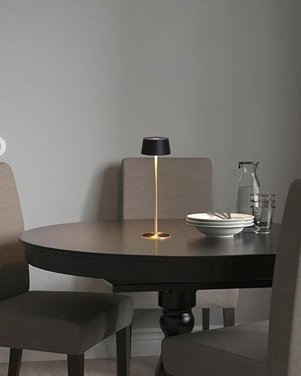 DAWALIGHT Cordless Lamp 4000mAh Rechargeable tbale lamp LED Desk Lamp Tempered Glass Stepless Dimming Black and Gold Battery Operated Portable Cordless 2700K Gold Base - LeafyLoom