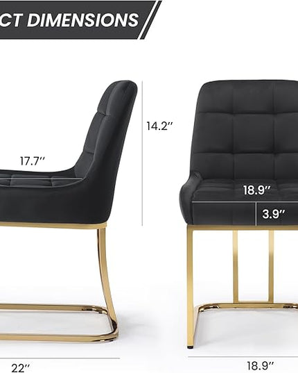 STARY Upholstered Velvet Armless Dining Room Chairs with Gold Metal Legs for Kitchen Restaurant, Black- Set of 2 - LeafyLoom