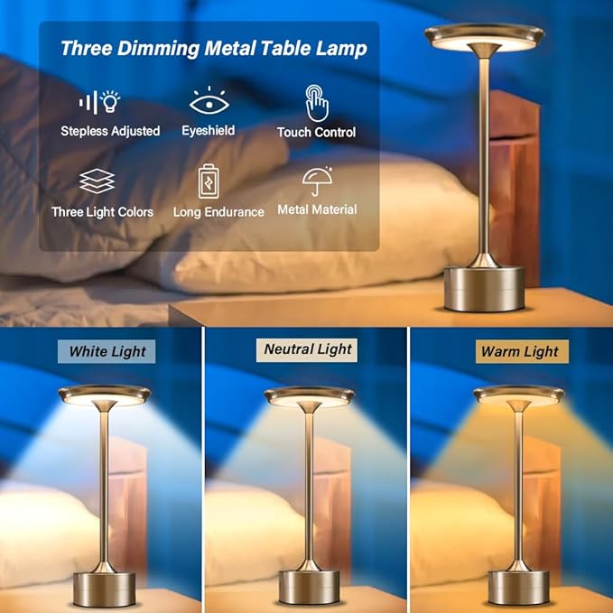 Portable Metal Desk Lamp, 3-Levels Brightness Metal LED Table Lamp, 3 Color Touch Control Rechargeable Lamp, Night Light, Bedside Lamp,Dining Room Lamp (Silver) - LeafyLoom