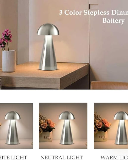 Cordless Metal Desk Lamp, Touch Sensor Control LED Table Lamp,3 Color Stepless Dimmable Battery Powered Lamp (Silver) - LeafyLoom