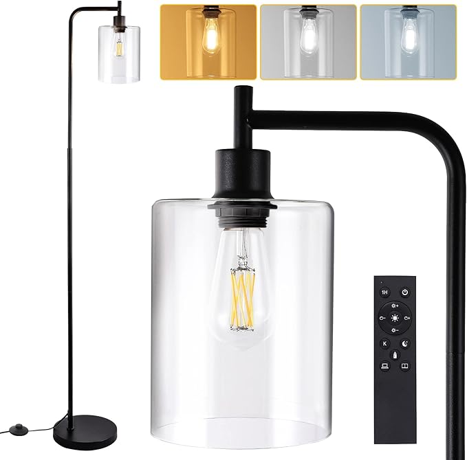 Litake Industrial Floor Lamp, Dimmable Modern Standing Lamp with Clear Glass Shade, Black Tall Lamp with Remote & Foot Control, LED Bright Corner Lamp with 6W Bulb for Living Room Bedroom Office - LeafyLoom