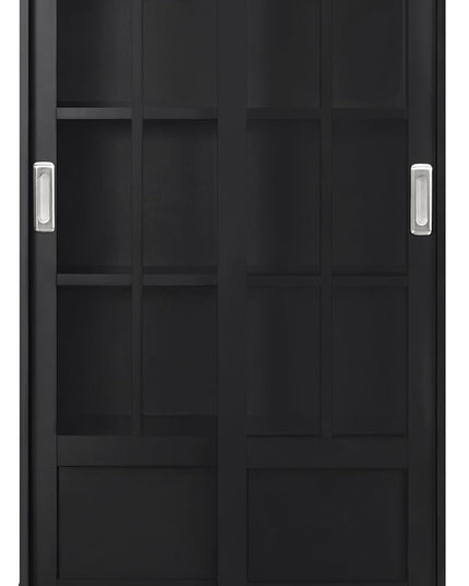 Ameriwood Home Aaron Lane Bookcase with Sliding Glass Doors, Black - LeafyLoom