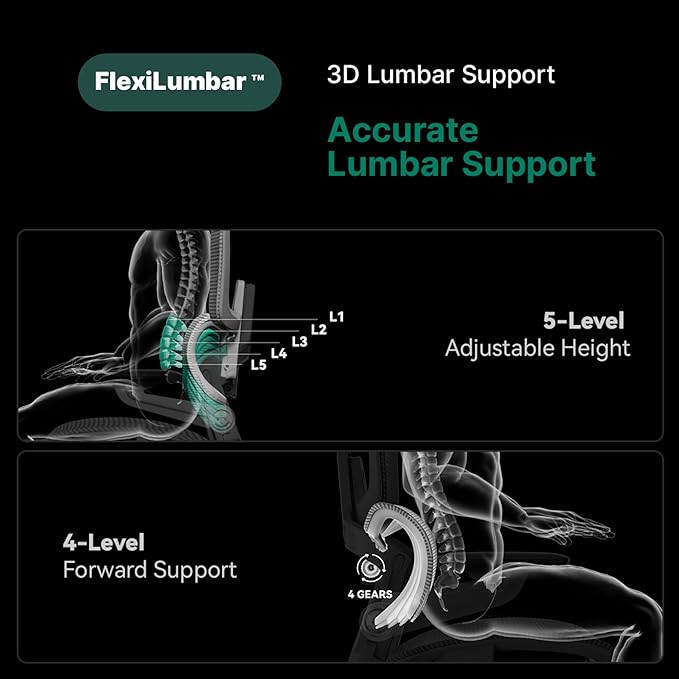 HINOMI H1 Pro V2 Ergonomic Office Chair with Footrest - Home Office Desk Chair with Lumbar Support, Mesh Office Chair with Headrest, Comfy Computer Chair with Back Support (Black, Extra-High) - LeafyLoom