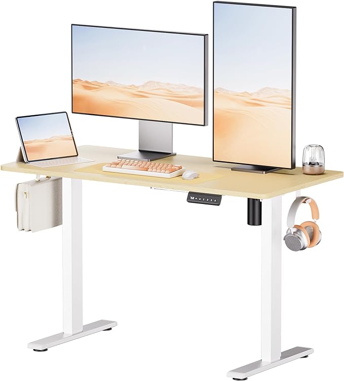 Electric Standing Desk - Adjustable Height with Memory Preset, 48 x 24 Inches Ergonomic Design Home Office Standing Desk - LeafyLoom