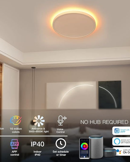 TALOYA Compatible with Alexa Flush Mount Ceiling Light, 12 inch RGB Ambient Light, Day Light 3000K~6500K Adjustable by App, equivs to 200W Traditional lamp for Living Room, Bedroom, 2-Pack Taloya