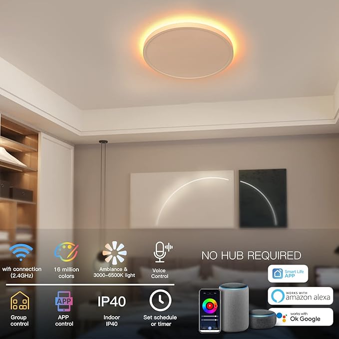 TALOYA Compatible with Alexa Flush Mount Ceiling Light, 12 inch RGB Ambient Light, Day Light 3000K~6500K Adjustable by App, equivs to 200W Traditional lamp for Living Room, Bedroom, 2-Pack Taloya
