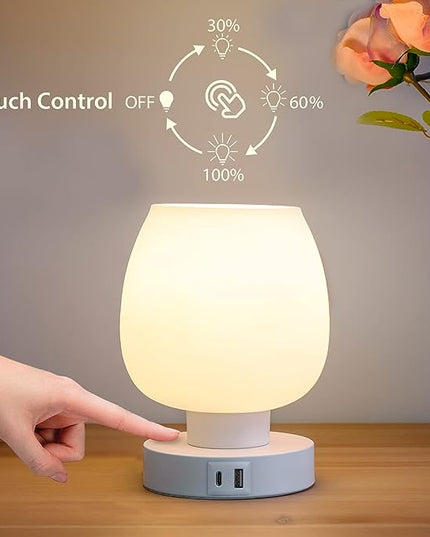 Touch Bedside Table Lamp - Small Lamp for Bedroom with USB C+A Charging Ports 3 Way Dimmable, Nightstand Desk lamp with White Opal Glass Lamp Shade Warm LED Bulb Included, Simple Design Gifts - LeafyLoom