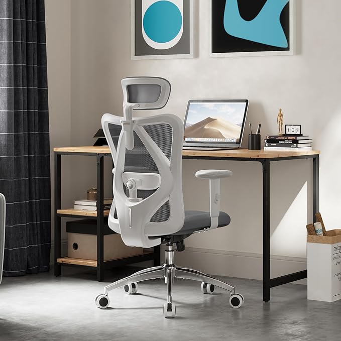 SIHOO M18 Ergonomic Office Chair, Computer Desk Chair with Adjustable Headrest and Lumbar Support, High Back Executive Swivel Chair for Home Office (Dark Gray) - LeafyLoom