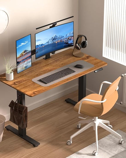 Electric Standing Desk Height Adjustable - 48 x 24 Inches Sit Stand up Desk & Memory Preset Ergonomic Rising Desks for Work, Home Office Workstation Gaming Rising Desk Study Table - LeafyLoom